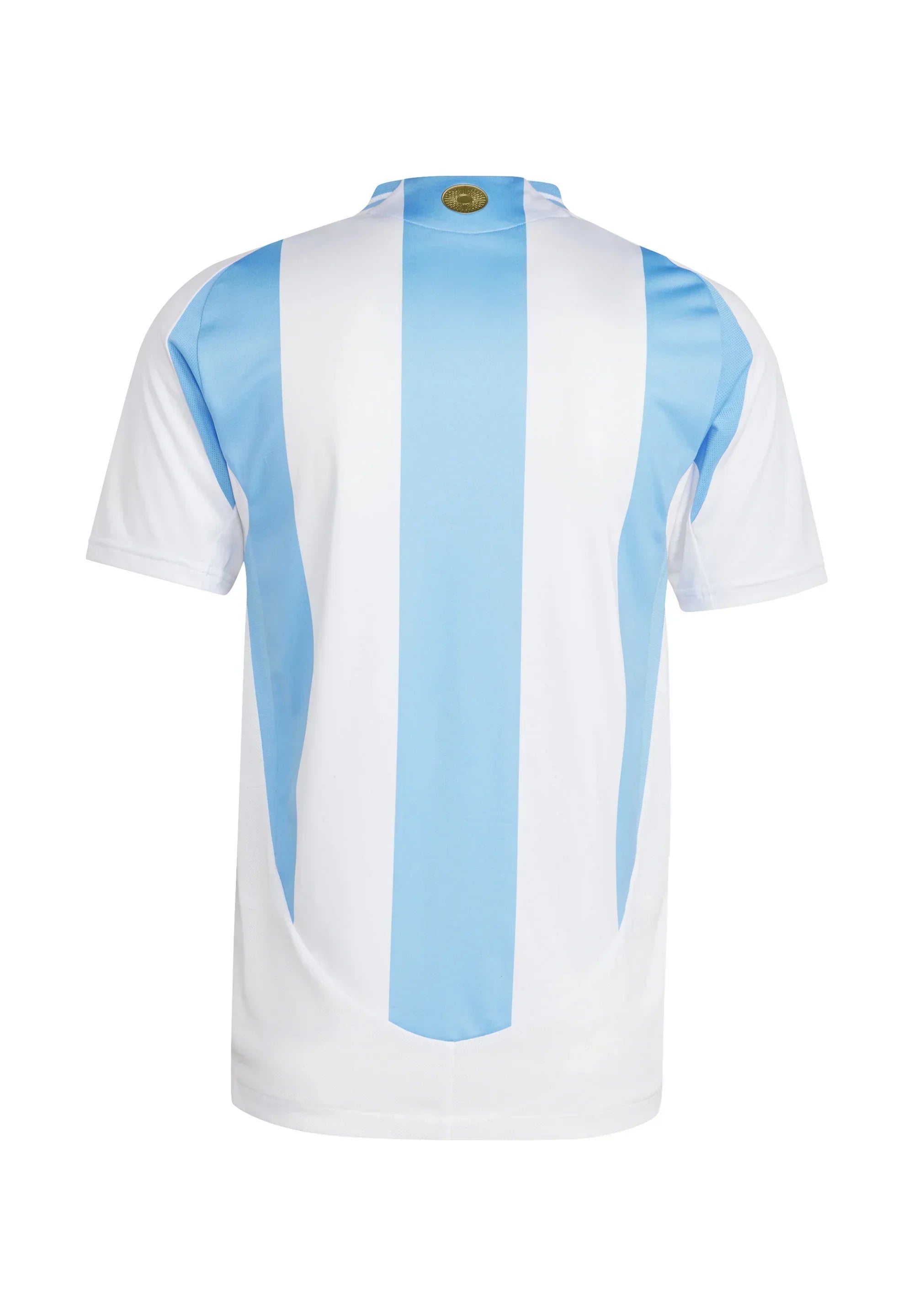 2024/2025 Argentina home kit