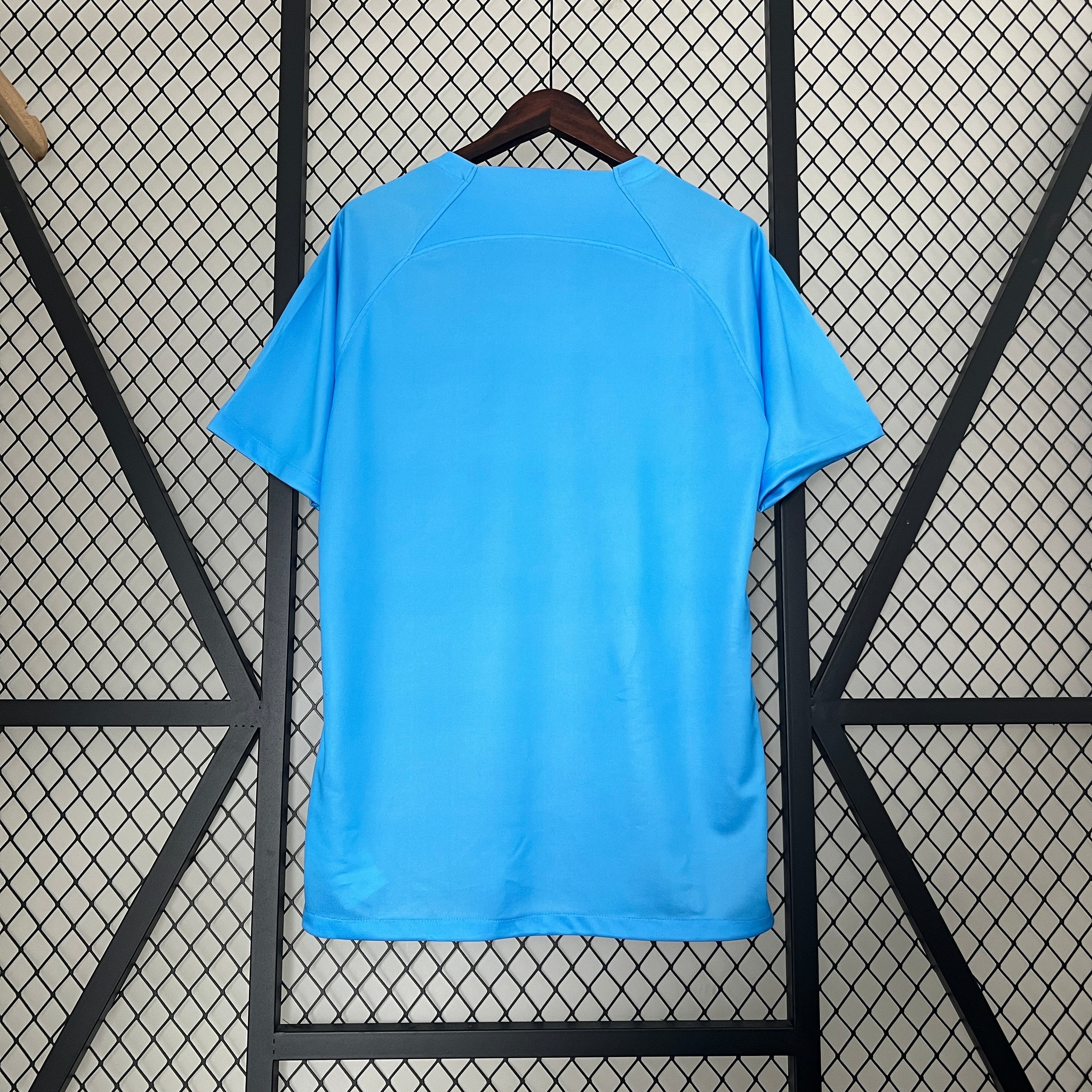 Niederländischer Löwe Sonderausgabe 24-25