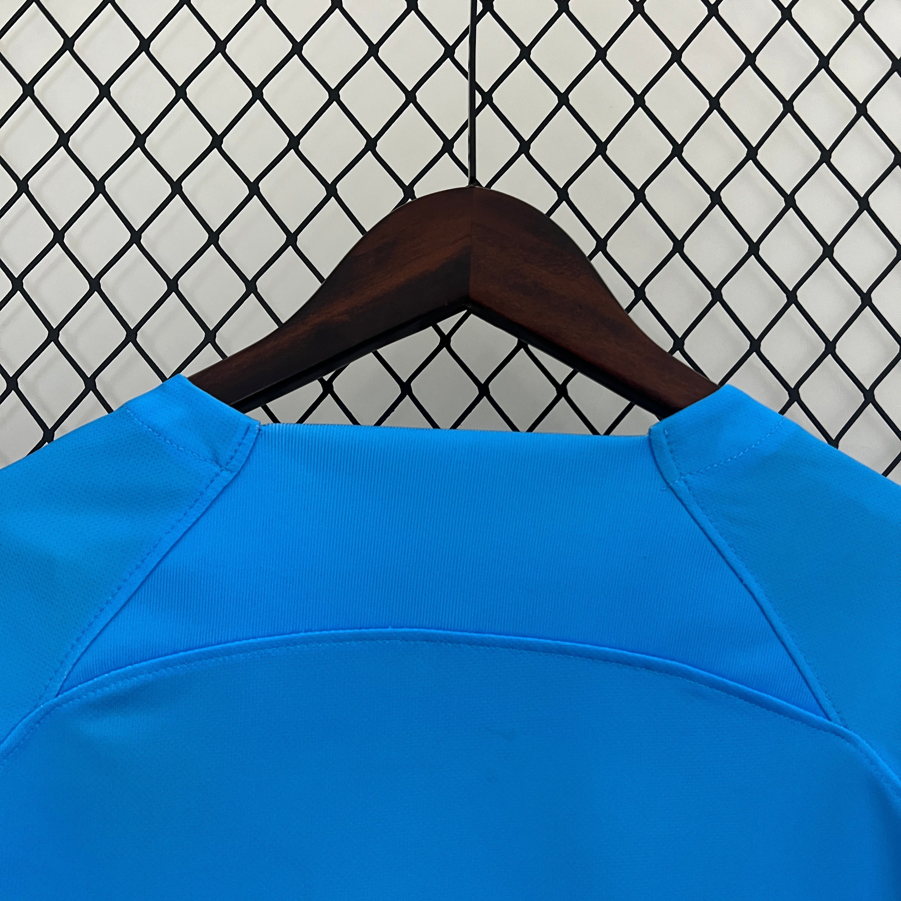 Niederländischer Löwe Sonderausgabe 24-25