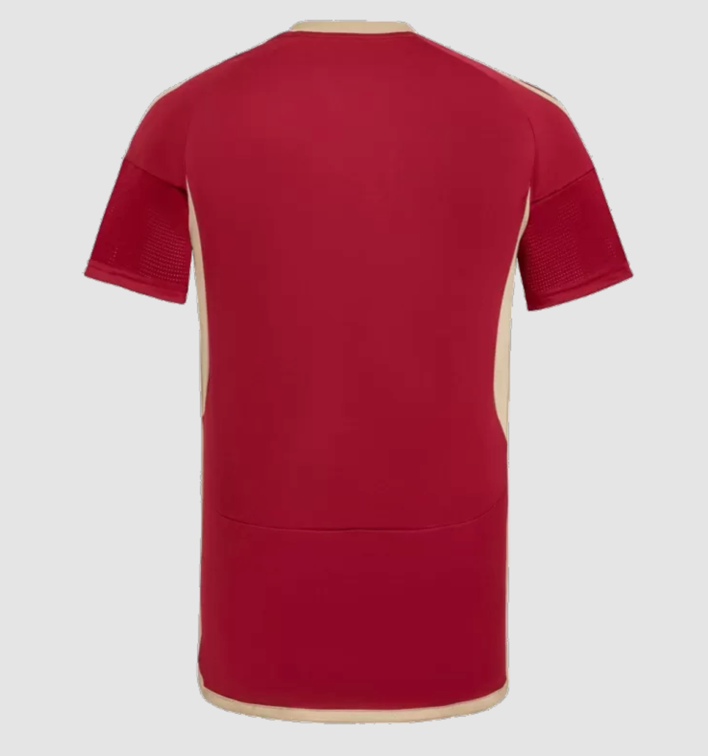 Venezuela 2024/2025 Home jersey