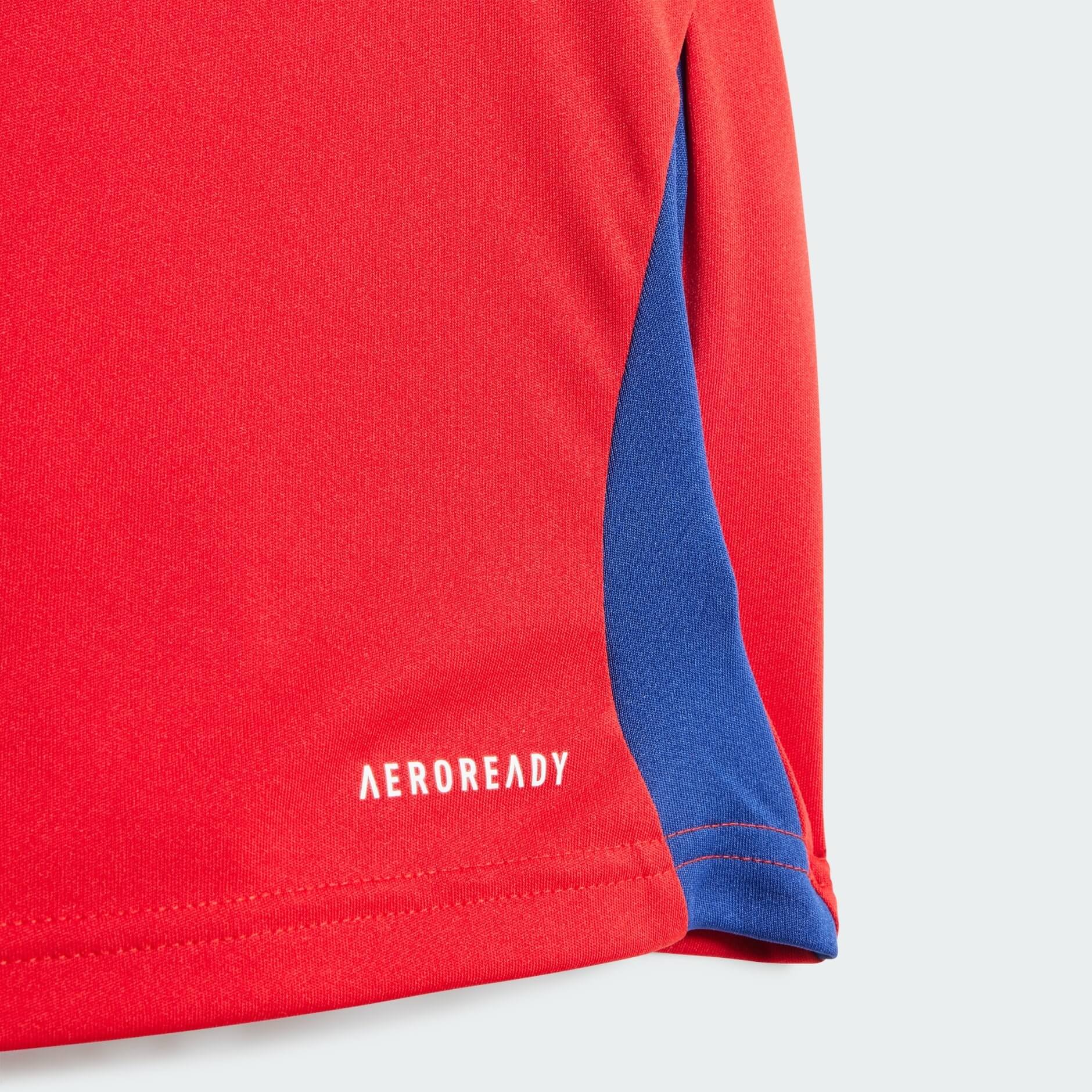 Arsenal Kids Football Kit 2024/25 Red Home