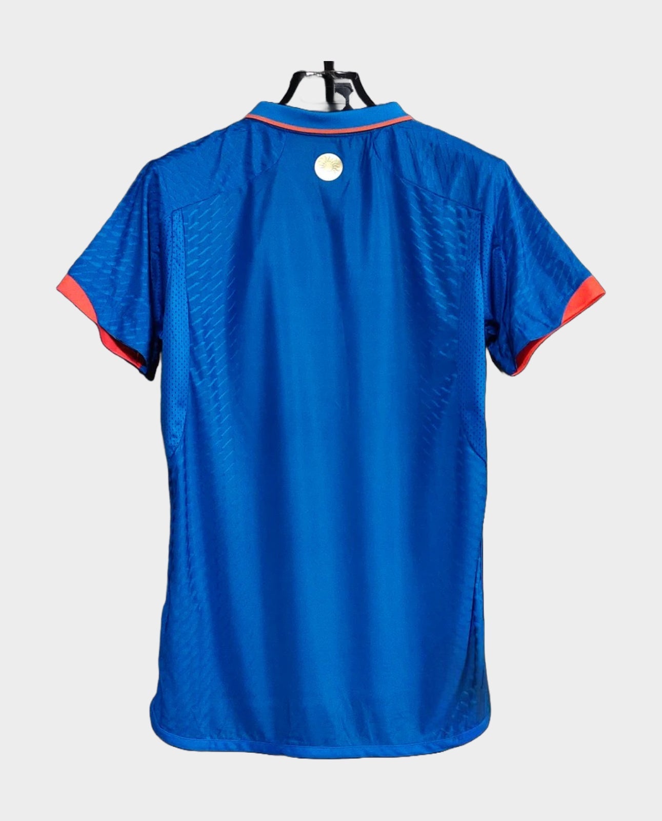 INDIA ODI Cricket Jersey - 2024