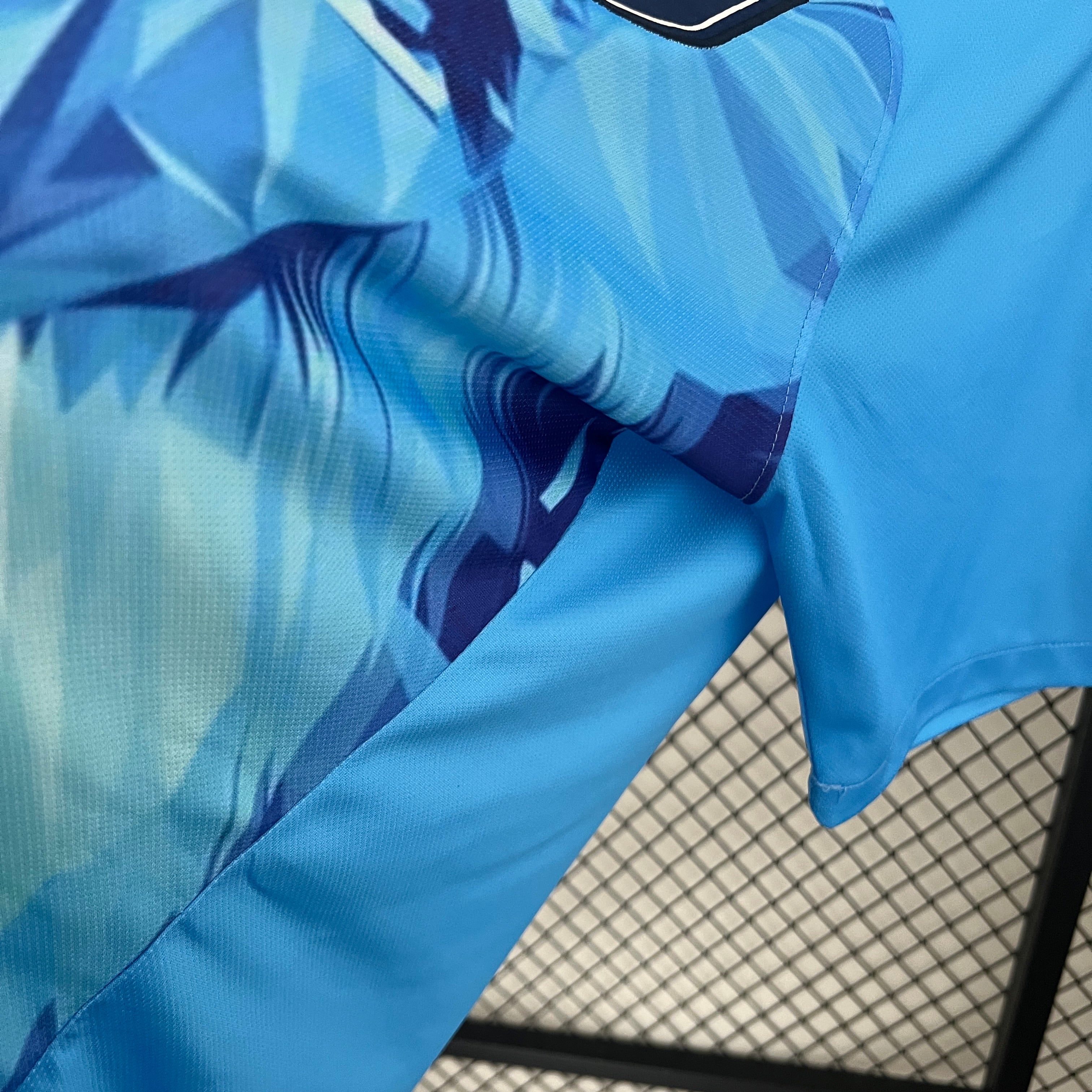 Niederländischer Löwe Sonderausgabe 24-25