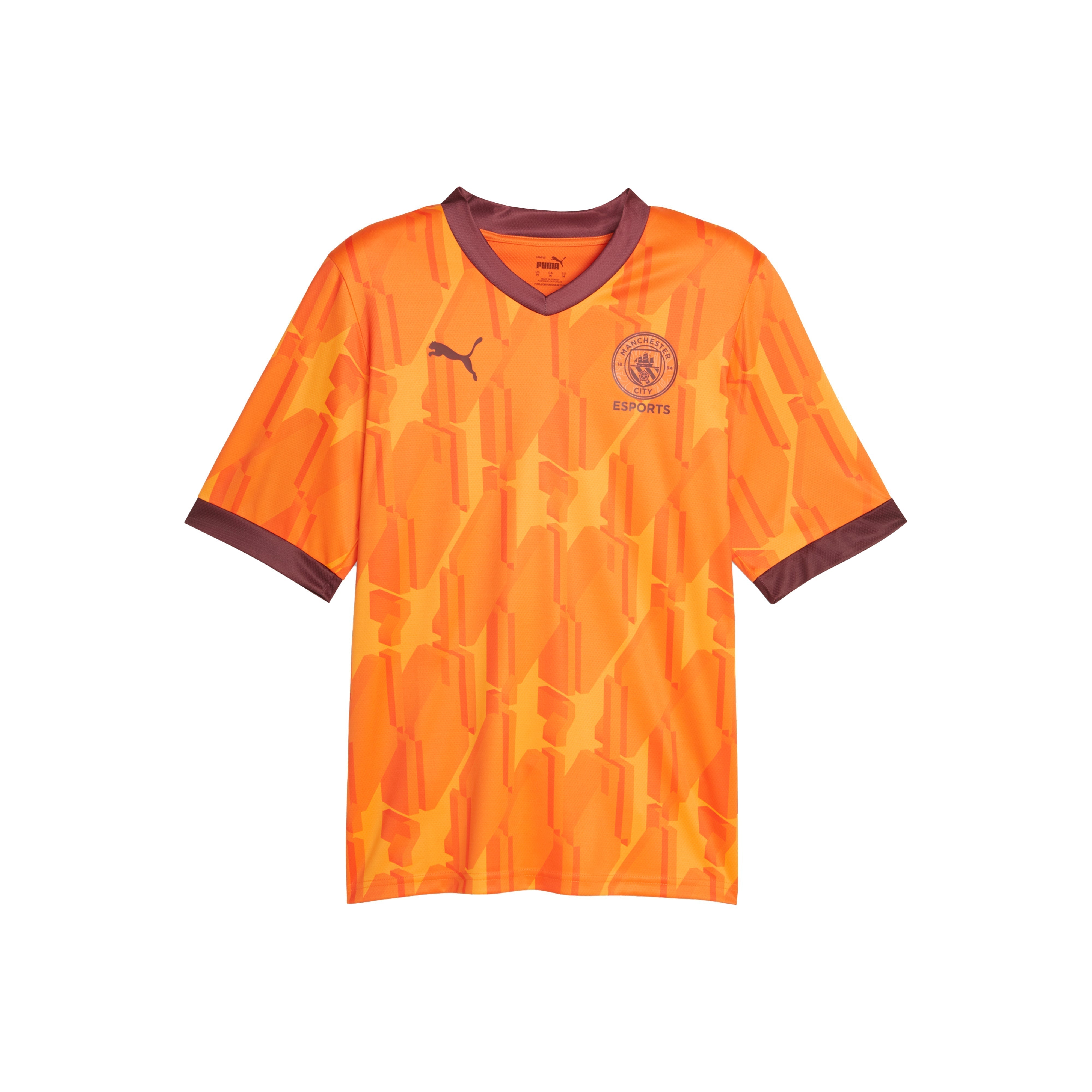 Manchester City Esports Shirt 23/24