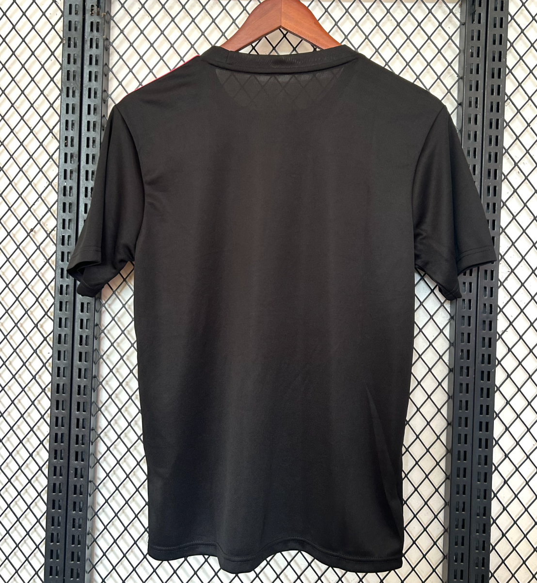 Japan Pink Dragon Sonderedition 2025/2026 Trikot