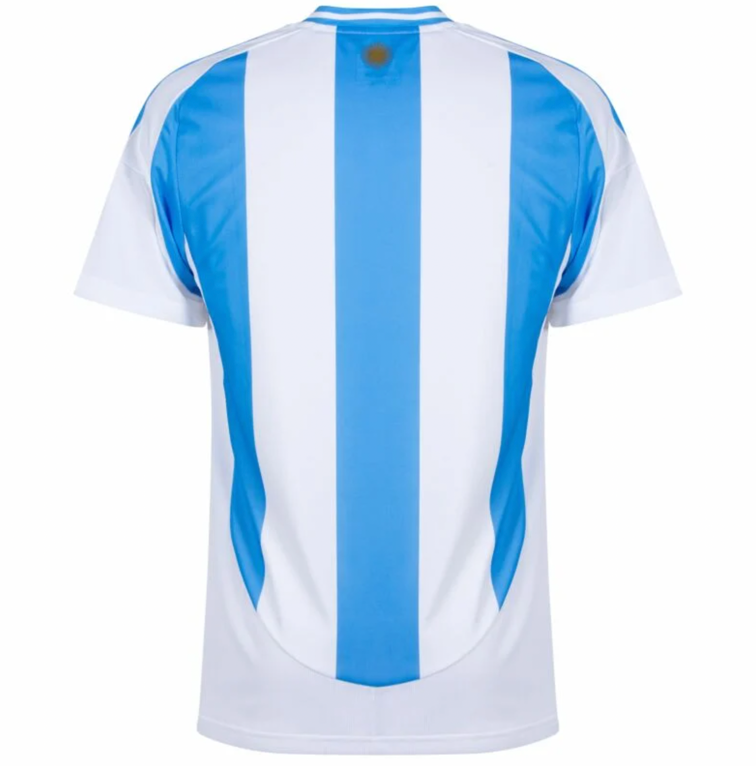 2024/2025 Argentina home kit