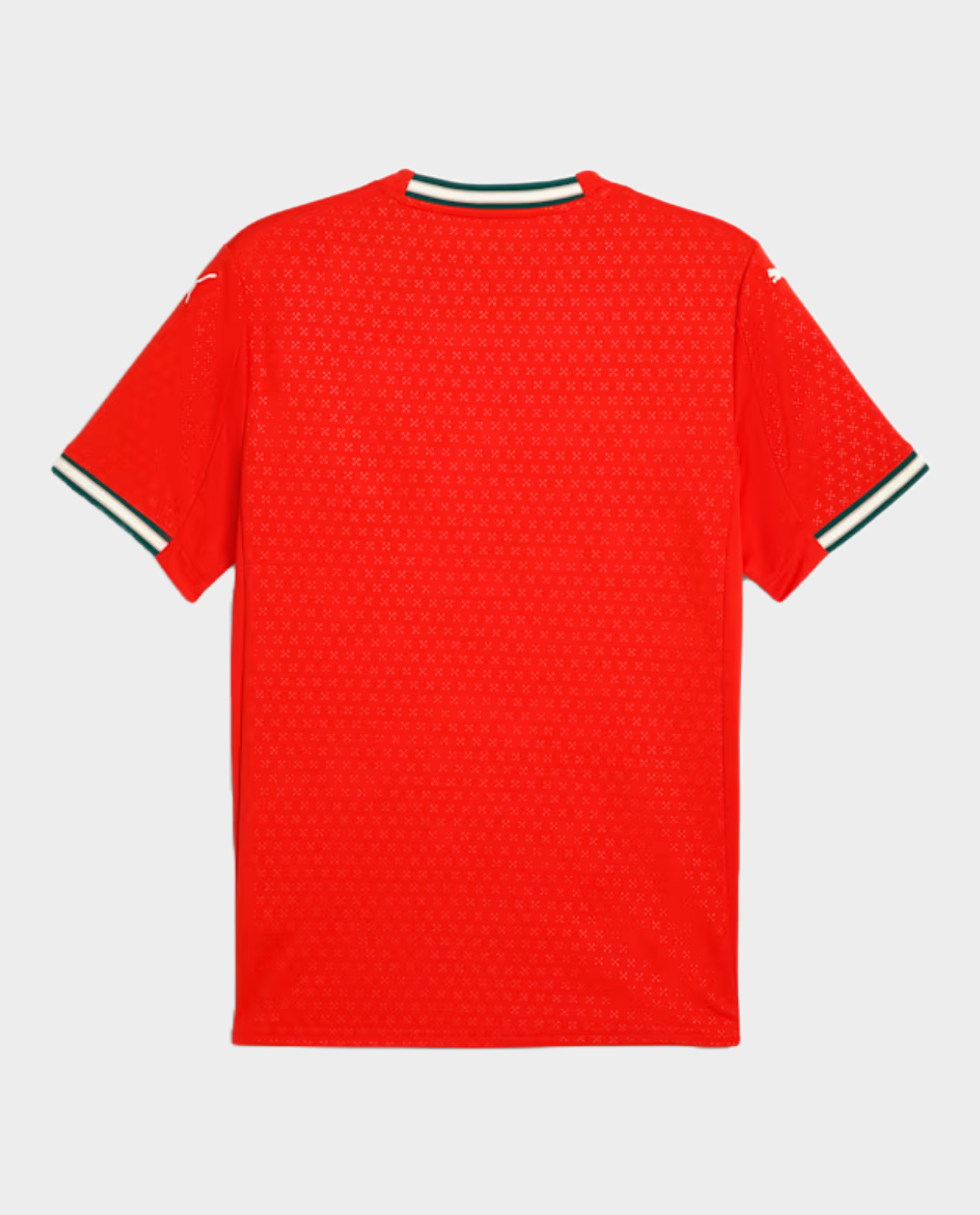 Portugal Home Jersey 2025-26 Player Version